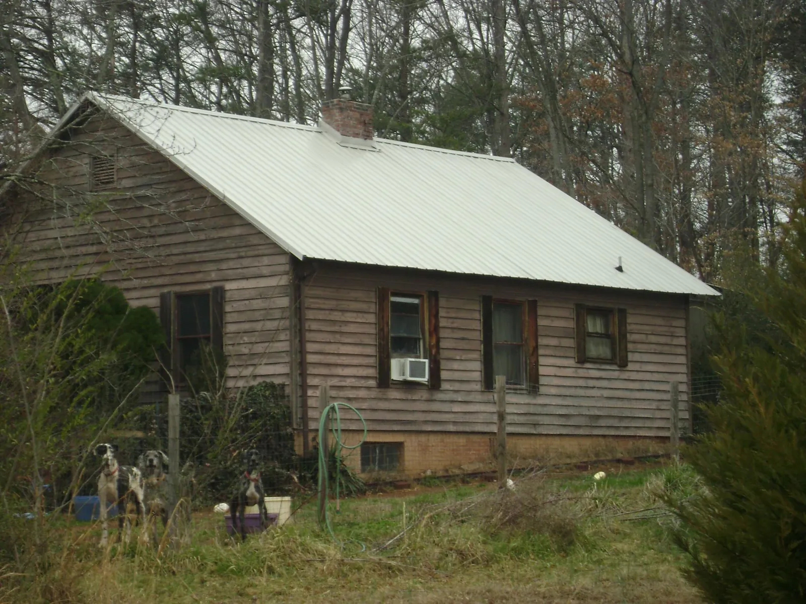 White metal roof on an old wood sided farmhouse, from a Asphalt Shingle Roof Repair job in Kathleen